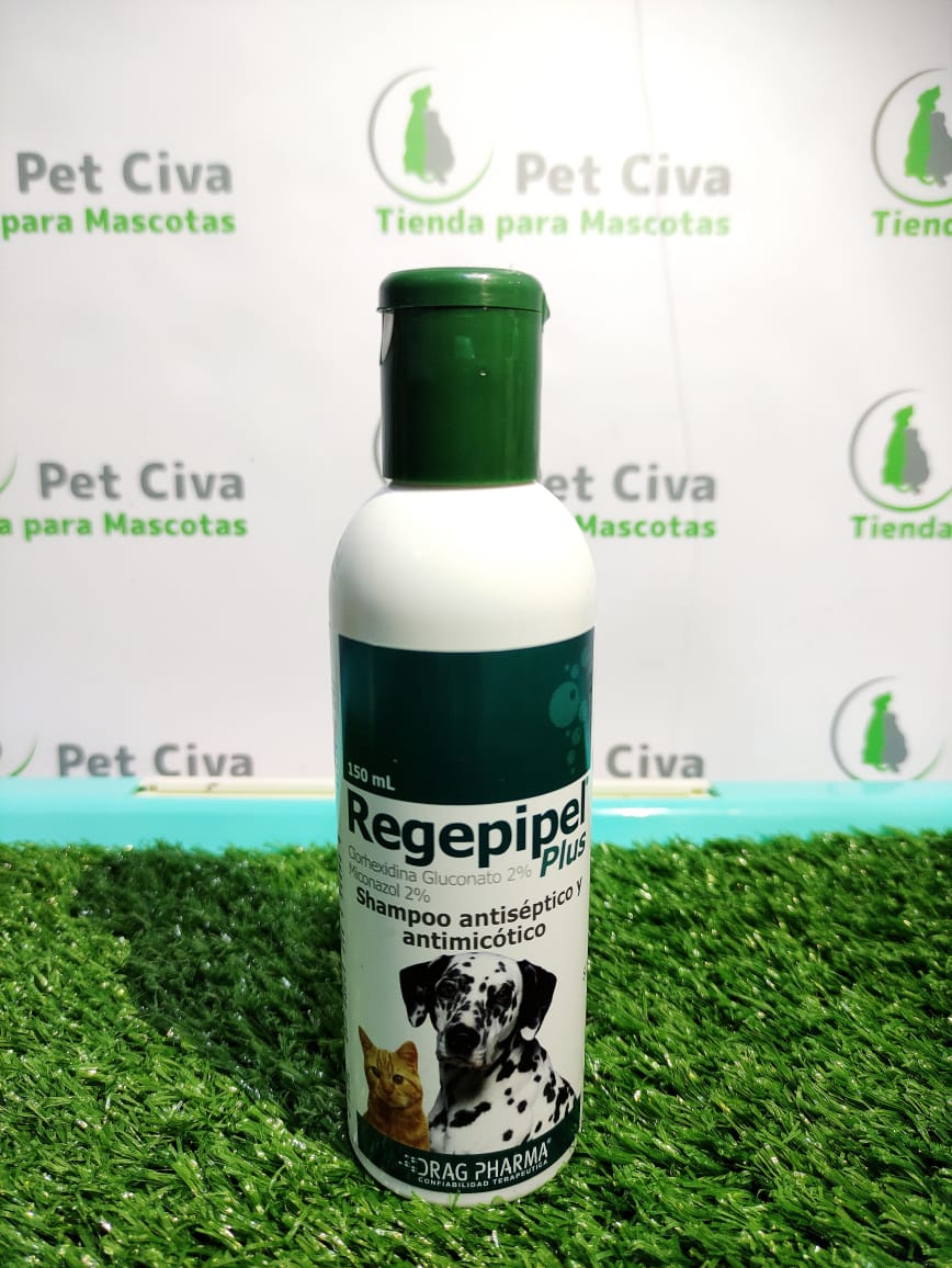 REGEPIPEL PLUS
