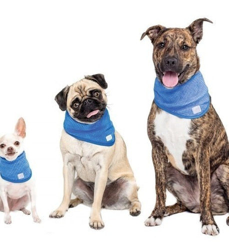 BANDANAS DE ENFRIAMIENTO XS