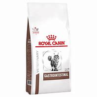 ROYAL CANIN GASTROINTESTINAL FELINO 2KG