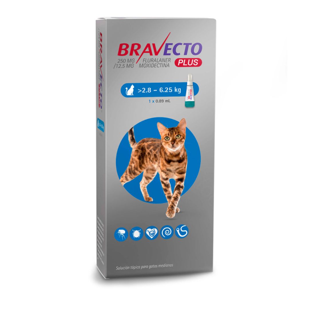 BRAVECTO PLUS GATO 2.8-6.25KG