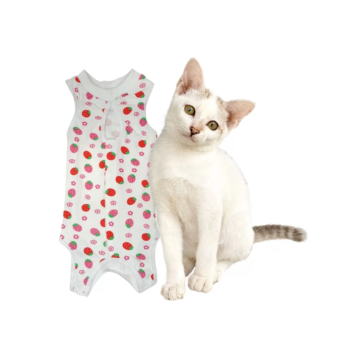 BODY PARA GATOS TALLA S/M/L