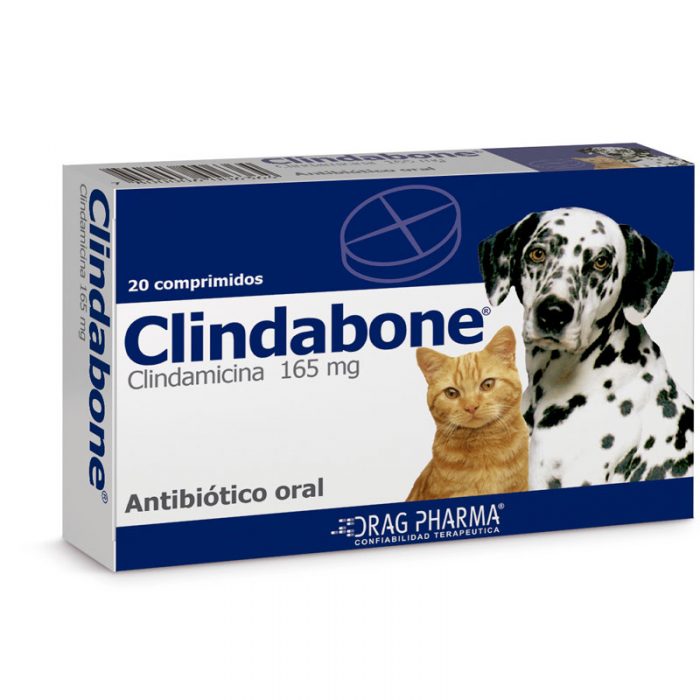 CLINDABONE 165MG