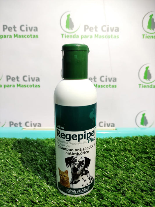 REGEPIPEL PLUS