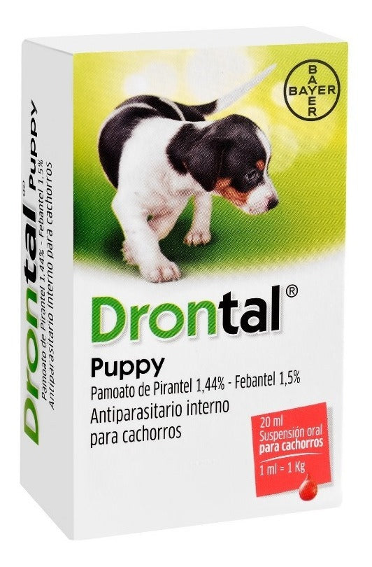 DRONTAL PUPPY