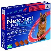 NEXGARD SPECTRA 30.1 A 60 KG 3 COMPRIMIDO