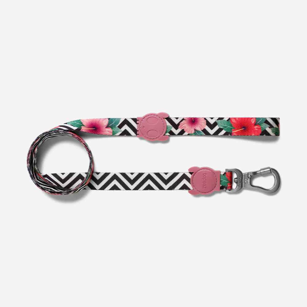 CORREA ZEE-DOG TALLA XS