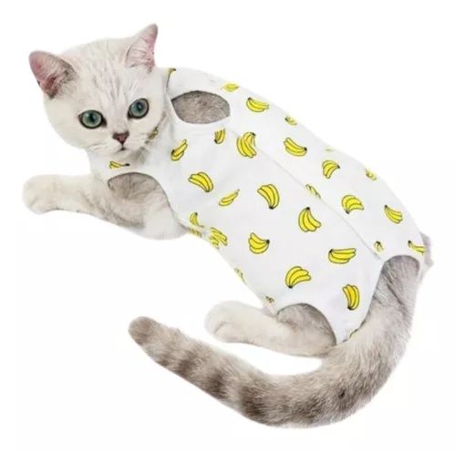 BODY PARA GATOS TALLA S/M/L