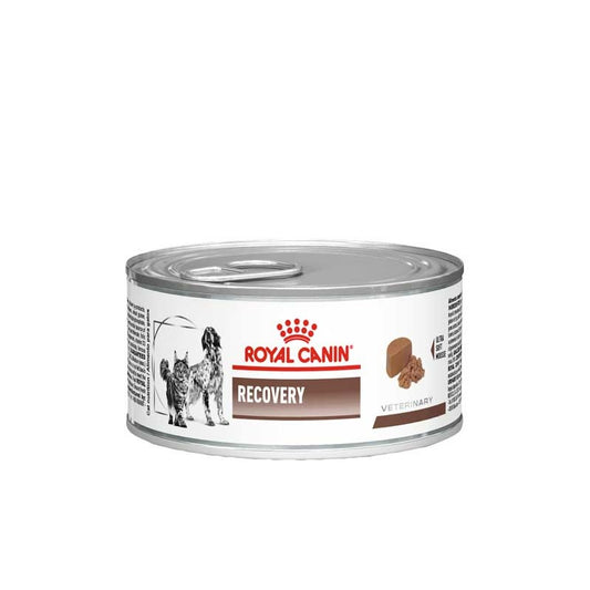 LATA ROYAL CANIN RECOVERY 145G