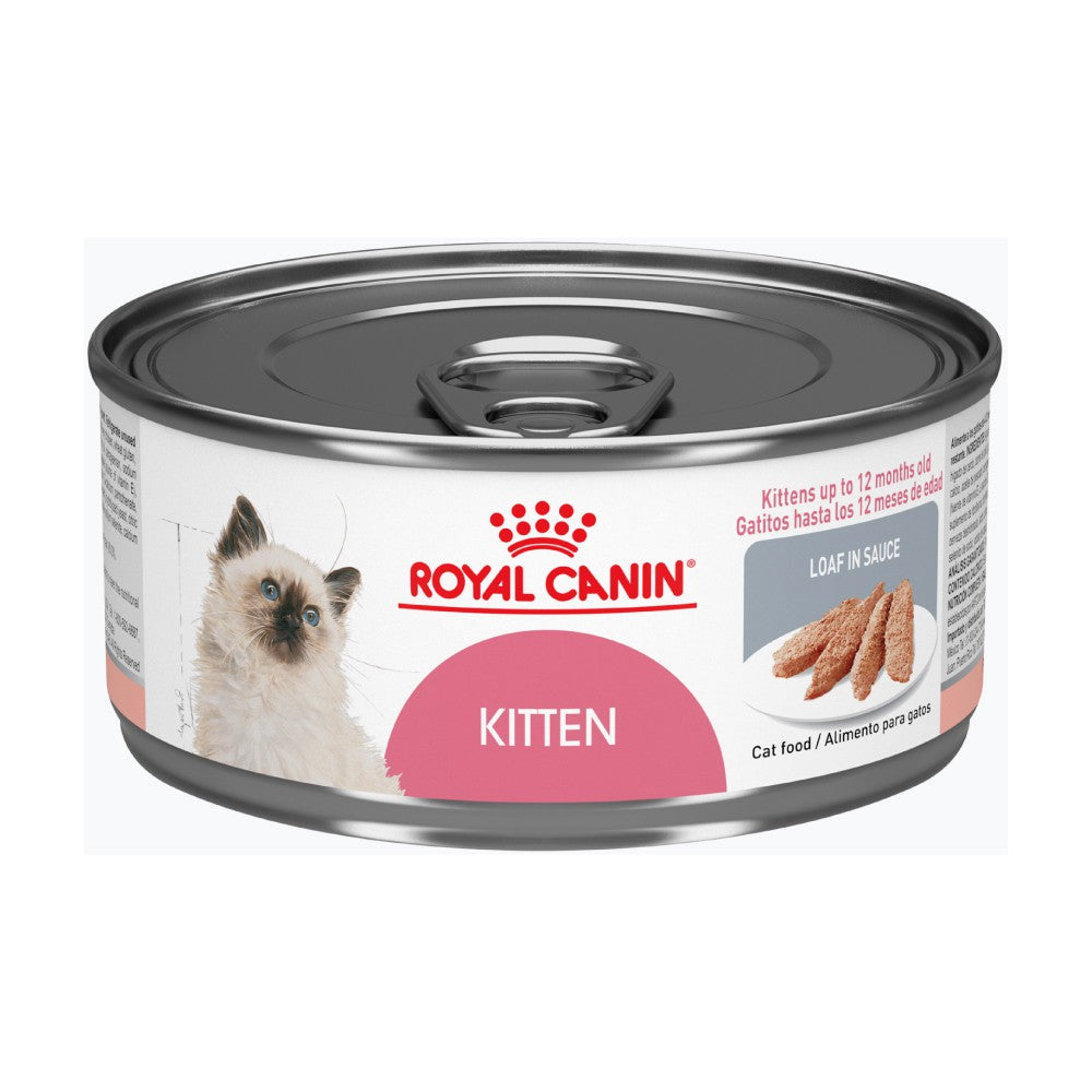 LATA ROYAL CANIN KITTEN 145GR