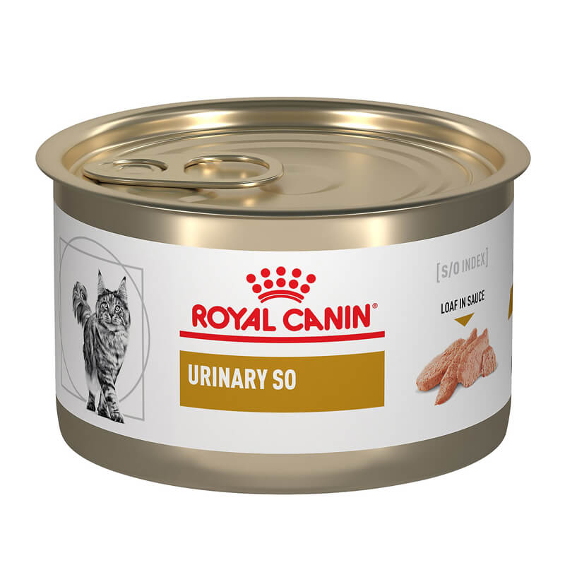 LATA ROYAL CANIN GATO URINARY SO 145GR